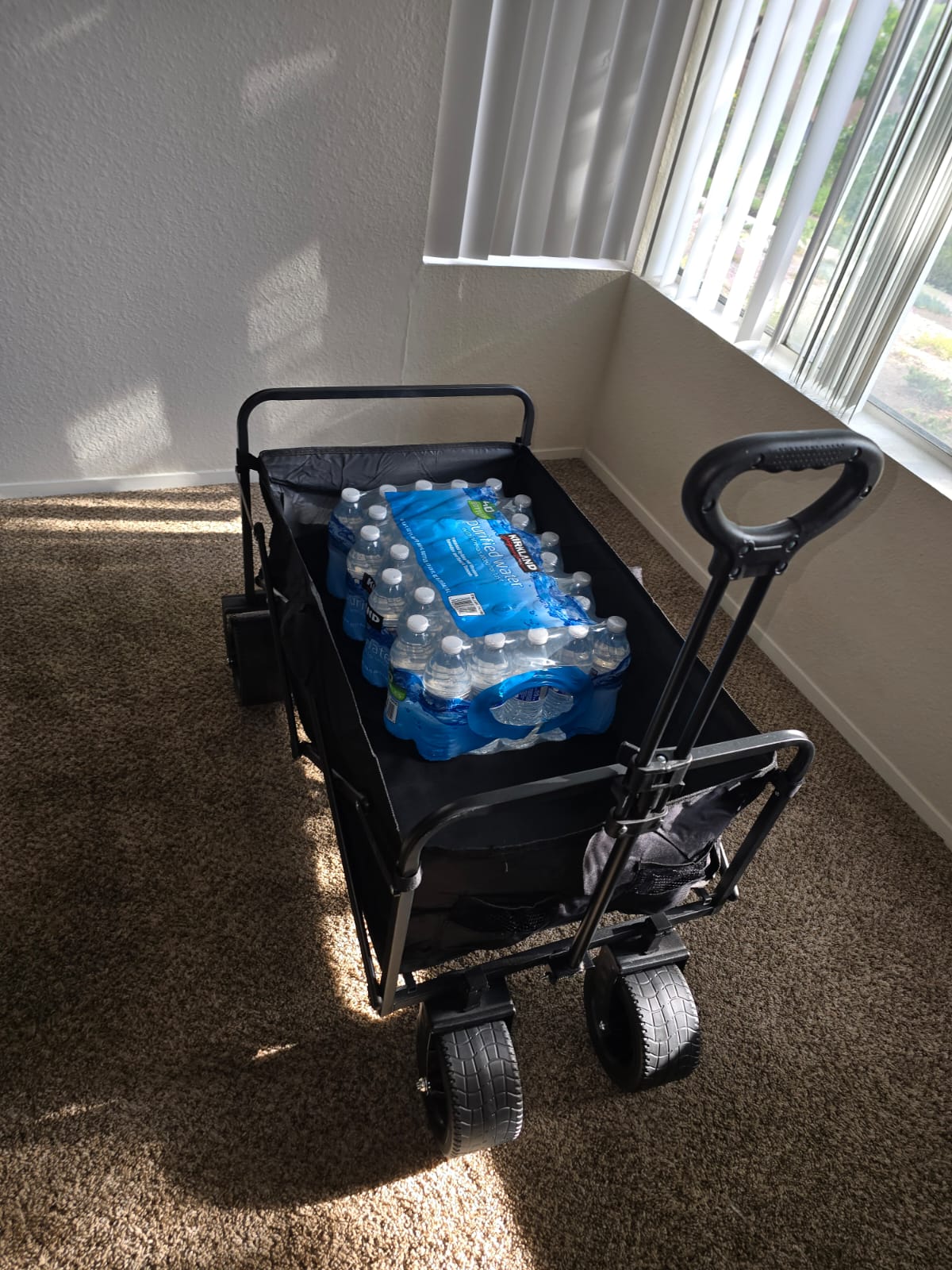 *New* Large Wagon cart | 300lb weight capacity | Big Beach Friendly Wheels | Color - Black
